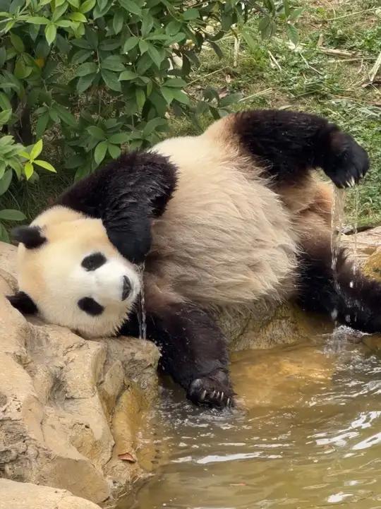人体的腋毛，物象卦构成水风井，水来滋养树木，彼此相互合作。按理说，每个器官部位都