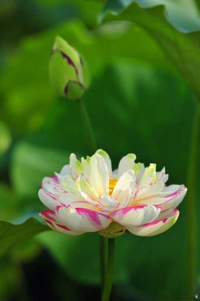 今年这中国医生的日子其实挺难过的，有很多医院已经发不出工资，来年可能会更难。看起