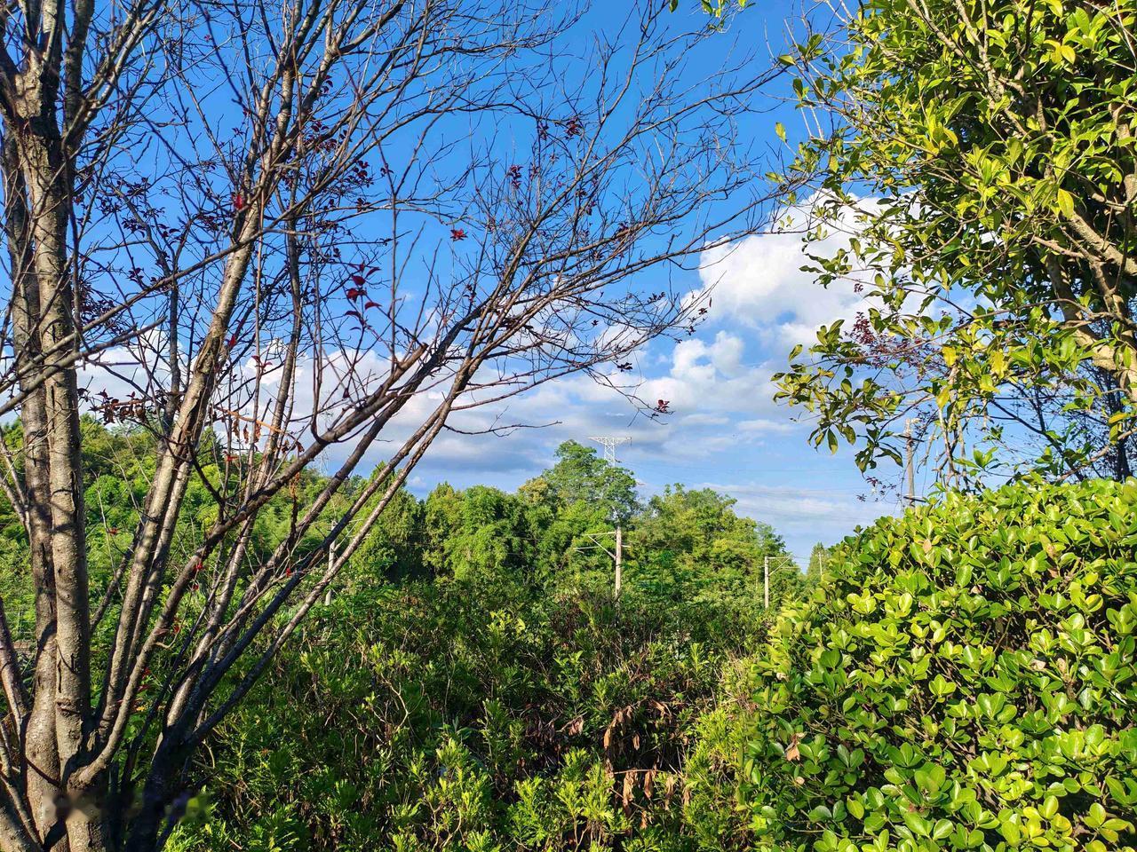 我的今日状态：😁轻松愉快
我这里的天气：☀️晴天