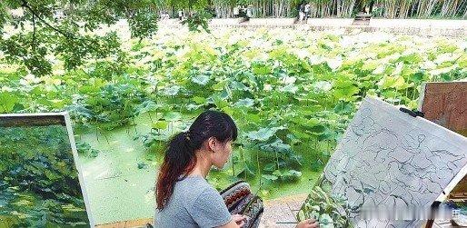 【昆明翠湖公园荷花盛开 一周引50万人前来观赏】7月28日，昆明市翠湖公园赏荷花