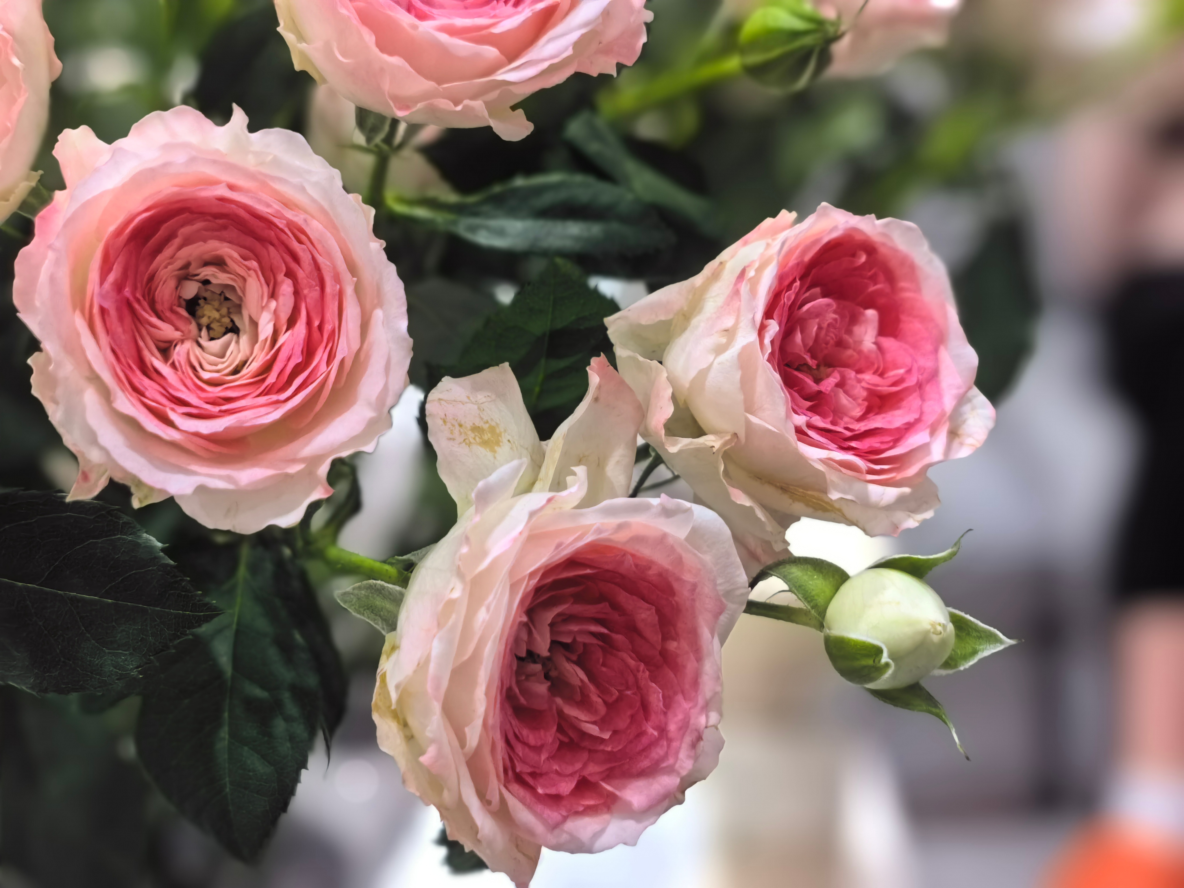 闲话投资1160孙子曰：善用兵者，修道而保法，故能为胜败之政。个人随笔：1. 孙