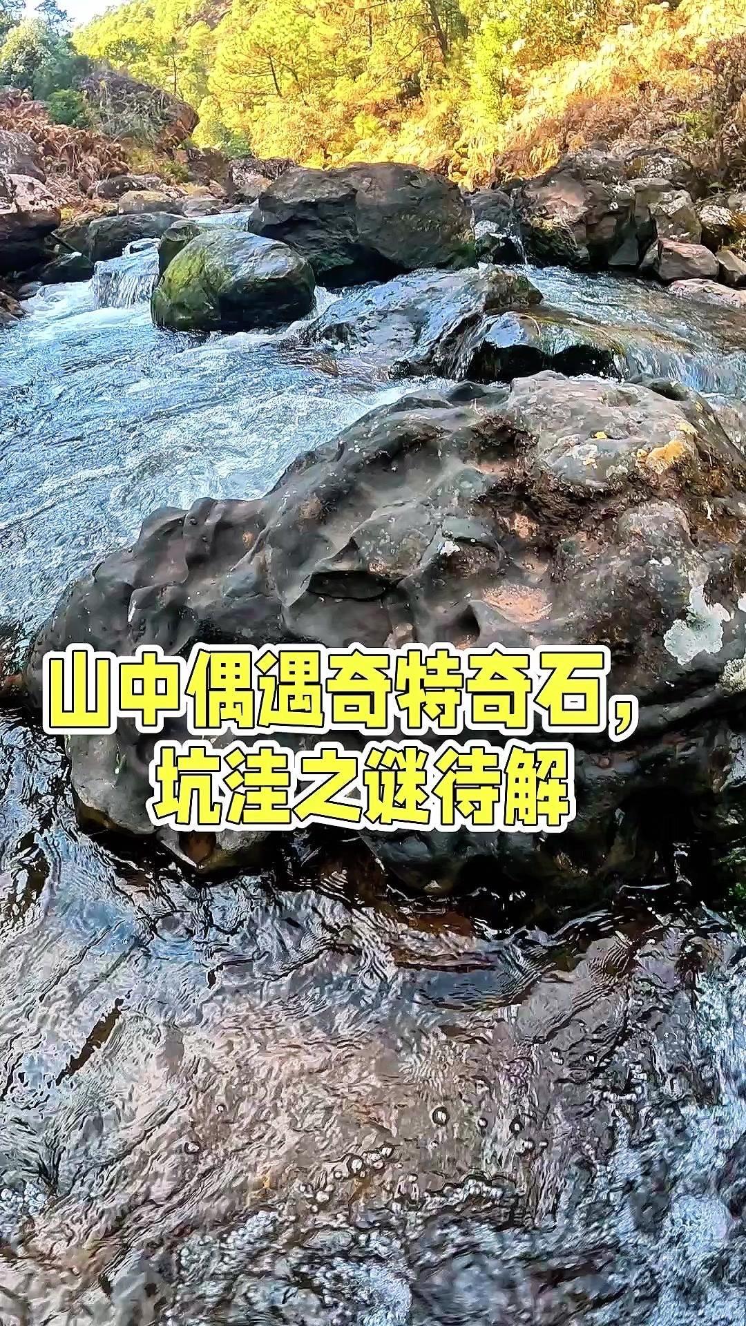 山中发现神秘奇石？⛰️山里捞石花菜时偶遇块奇特石头，表面全是坑坑洼洼，摸起来手感