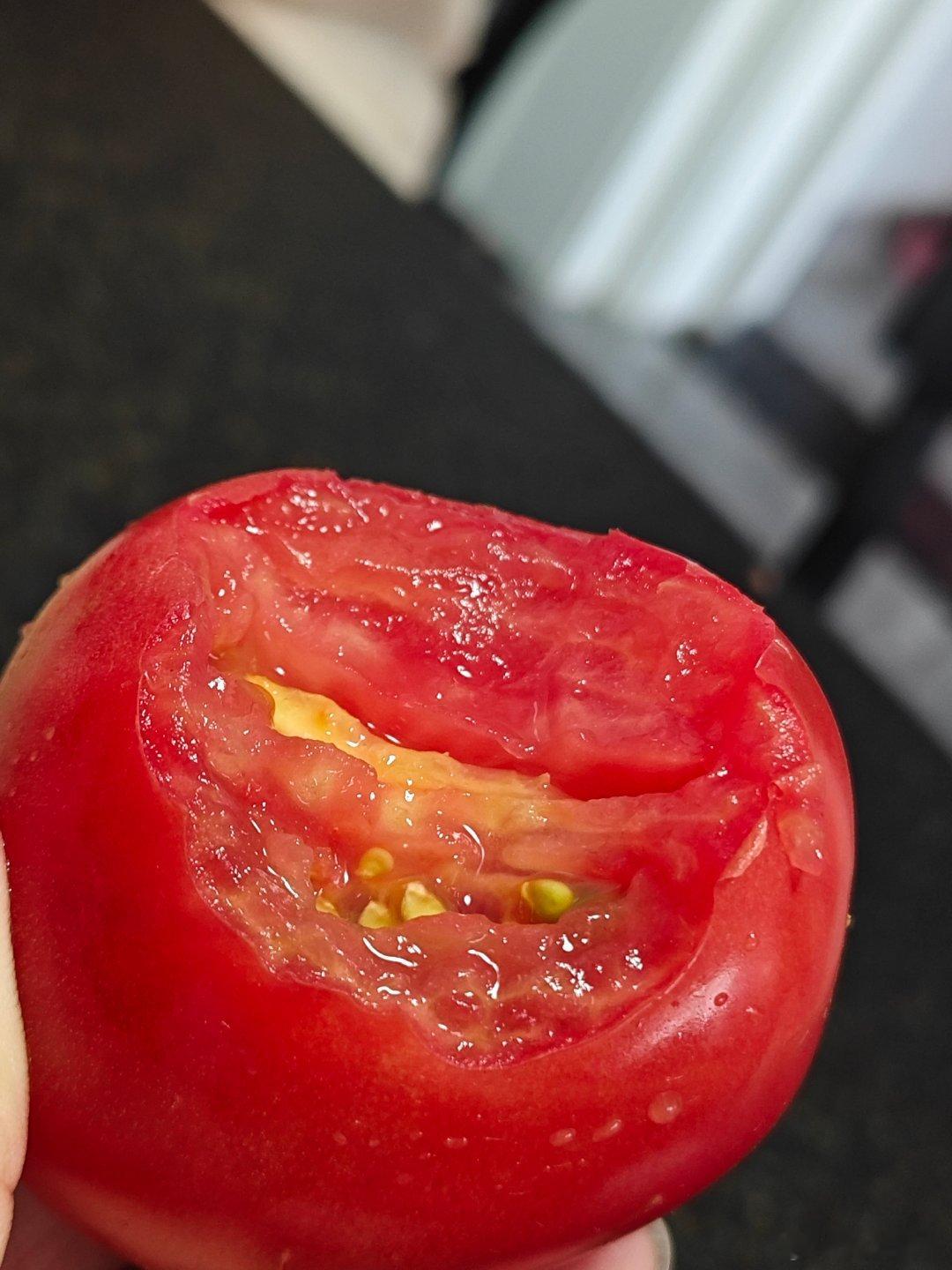 治愈系番茄…… ​​​