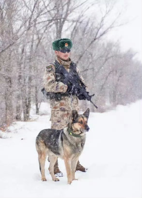 这张士兵与军犬的合影，真帅气！ 