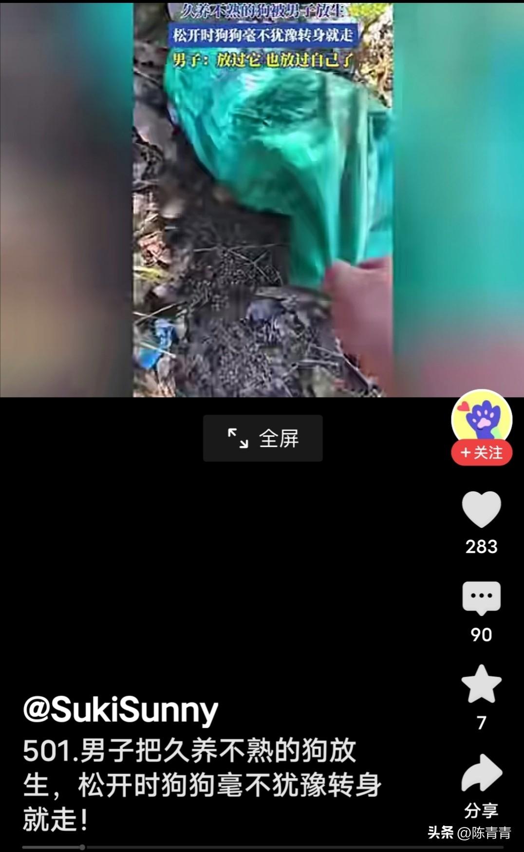 男子把久养不熟的狗，用蛇皮袋装着，送到荒郊野外放生。

这是条黄色的草狗，学名中