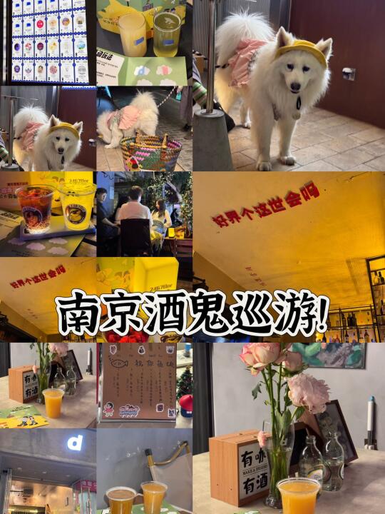 五一放假！新街口喝到三家不可错过的！