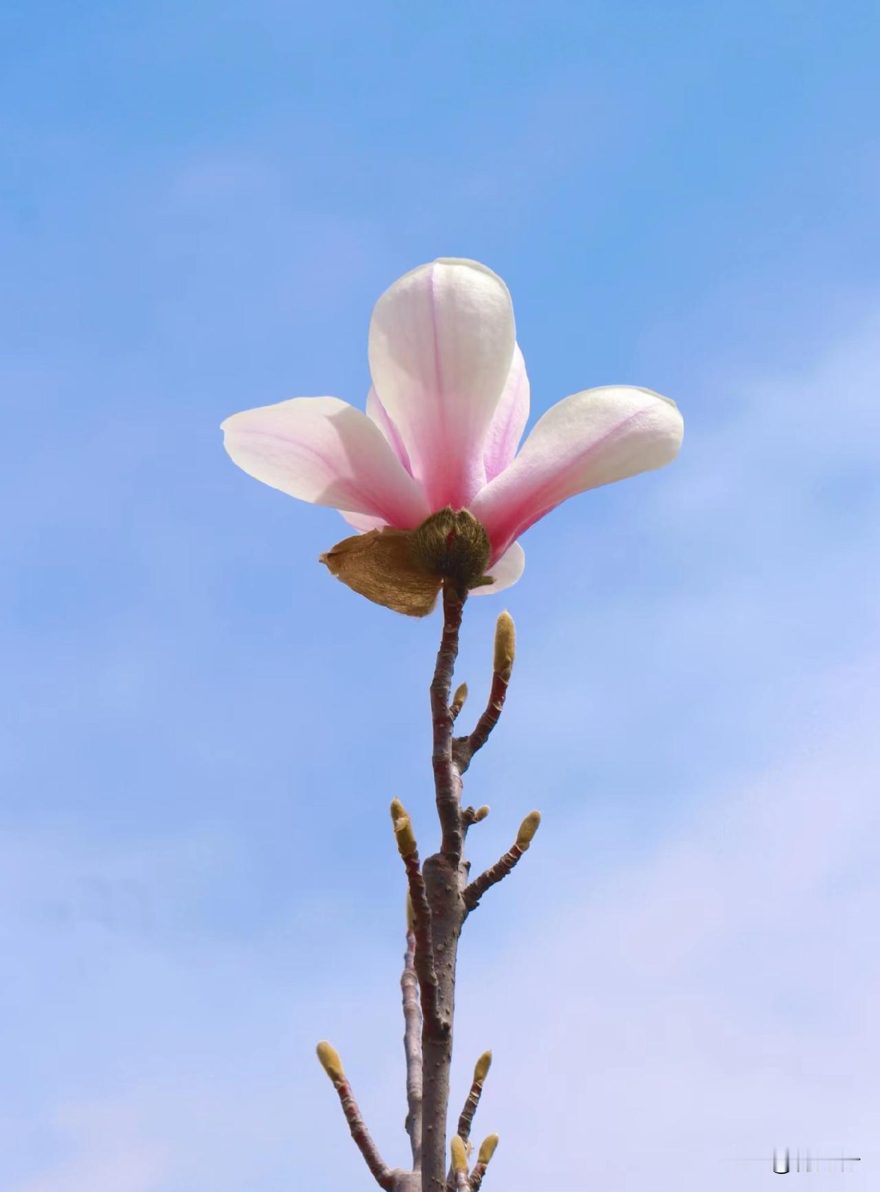 农村发展说到底
最缺的还是三样东西
一是缺年轻人
有想法肯干事的都往外走了
二是