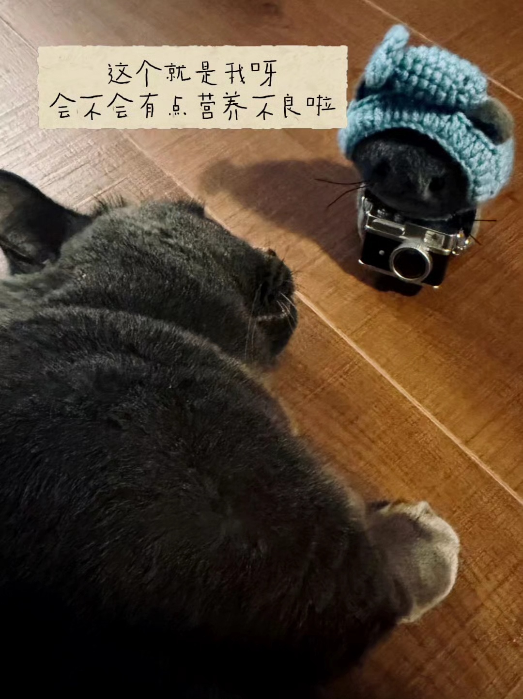 会不会呀