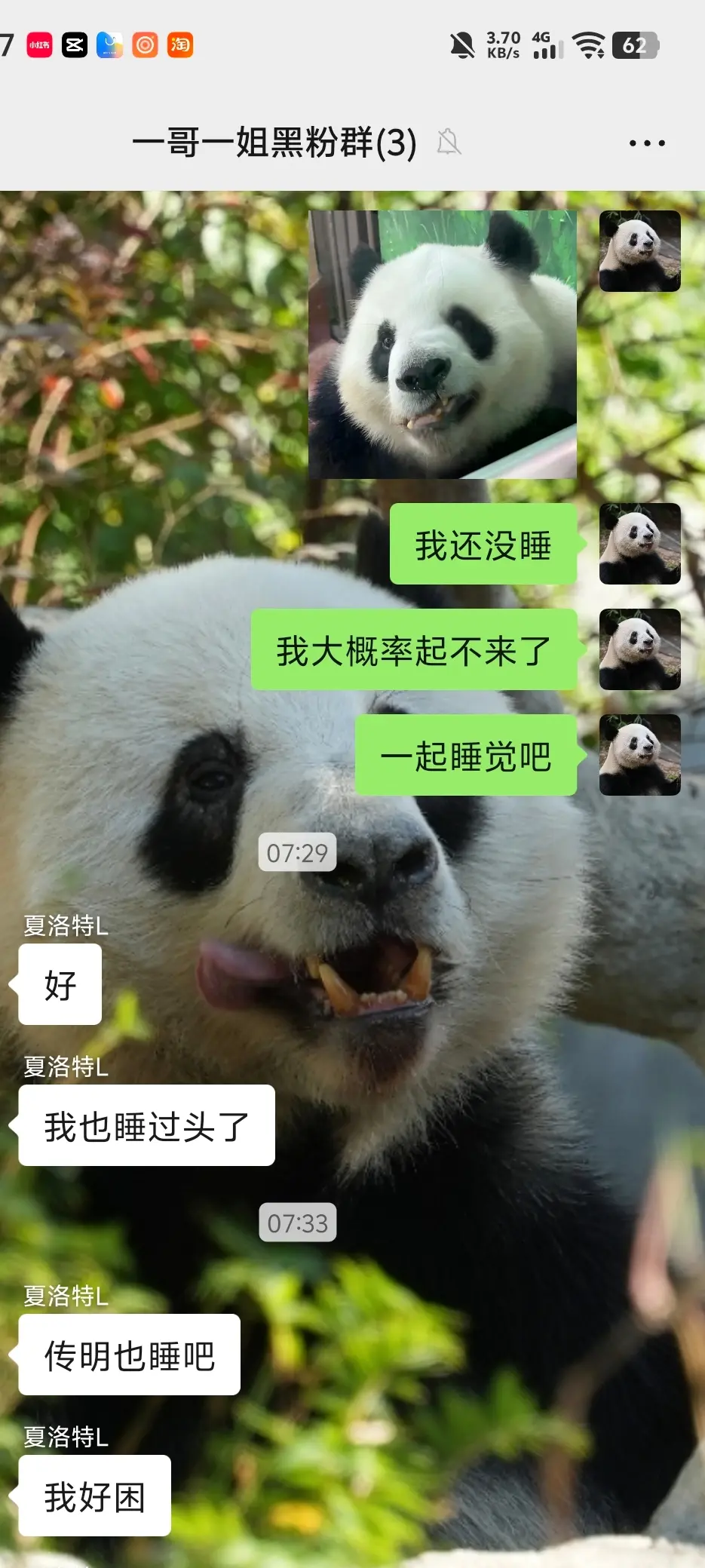 很好，星一雅一的黑粉们今天都起不来了。两兄妹今天不用怕被黑了！（大家可...