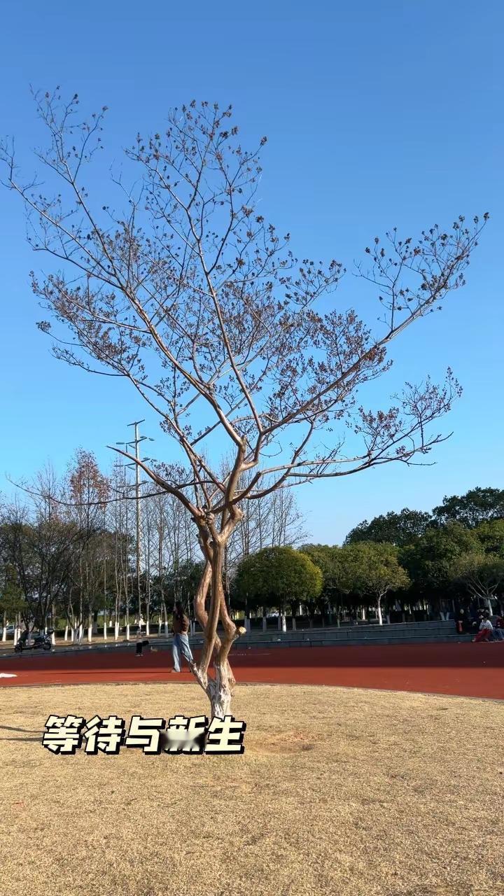 如果你也喜欢不妨拍一张互换吧？