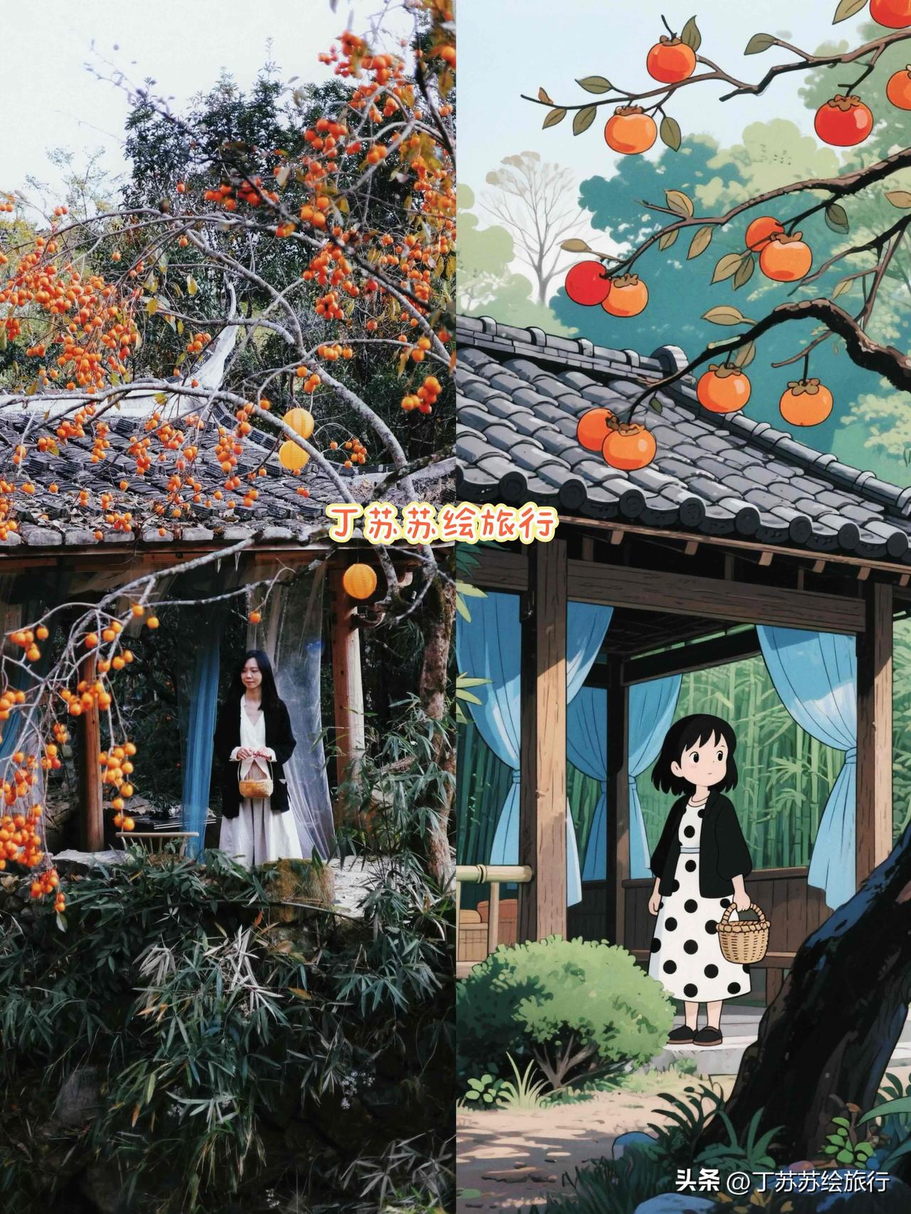 福建没有江南，但是有屏南！分享你拍的家乡美景照片
2025屏南赏柿手绘地图9️⃣