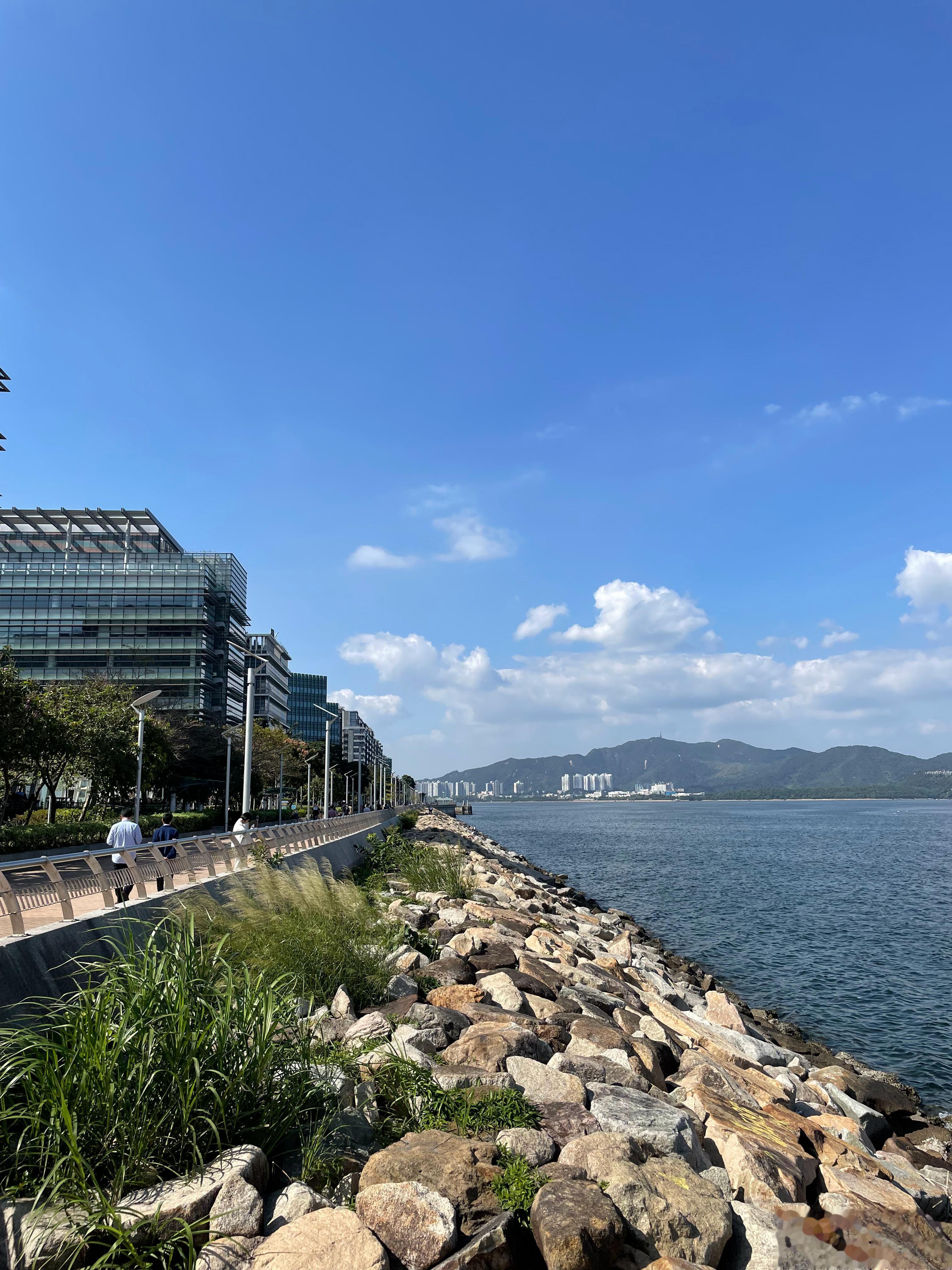 每天上班午休看看海 要是能在办公室看海就好了[允悲]  ​​​