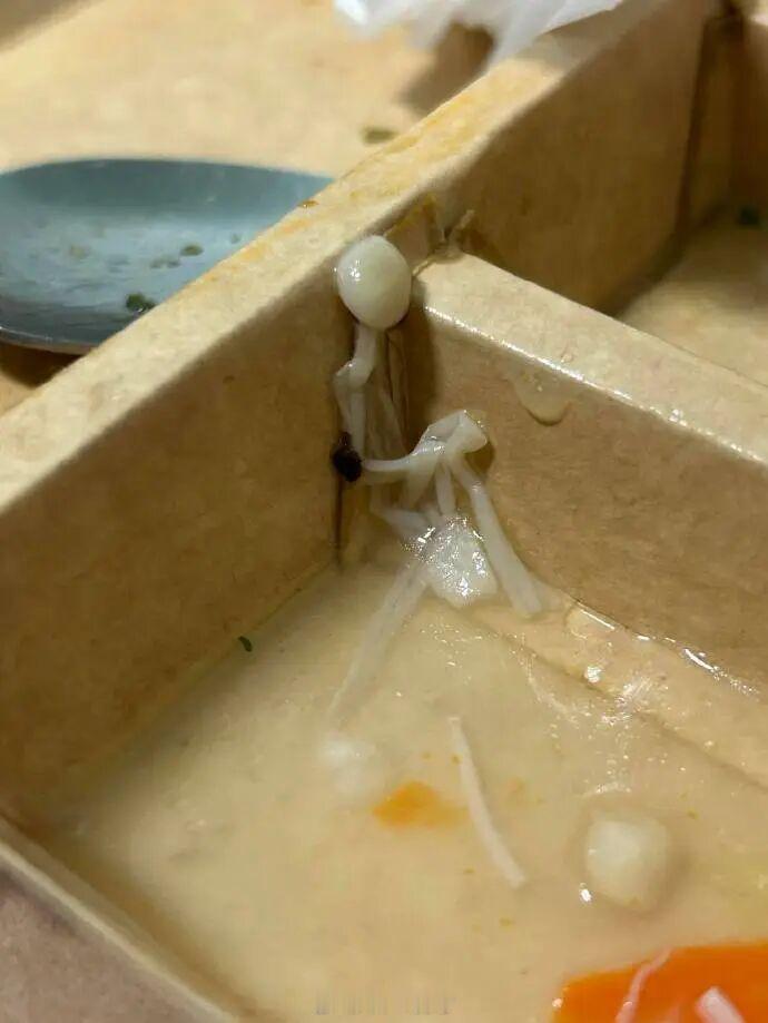 今天困顿的时候接了一杯咖啡，忽然想起高中时的一篇爆款爽文——《我花了18年才能和