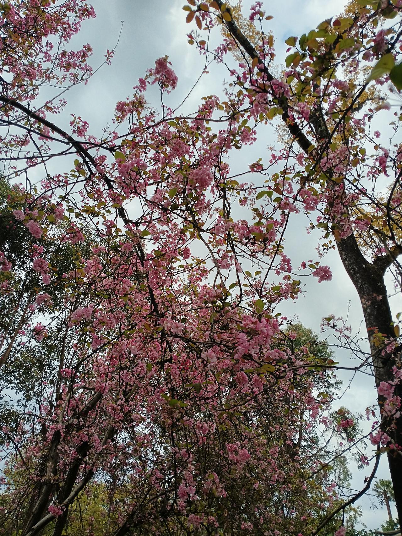 周一盘后传来重大消息，沪指三重底能否确立？
周一盘后重大消息如下：
一、据媒体报