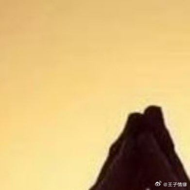 看不起你的人，不必靠近；心里没你的人，不必打扰；对你好的人，要懂得珍惜；不懂感恩
