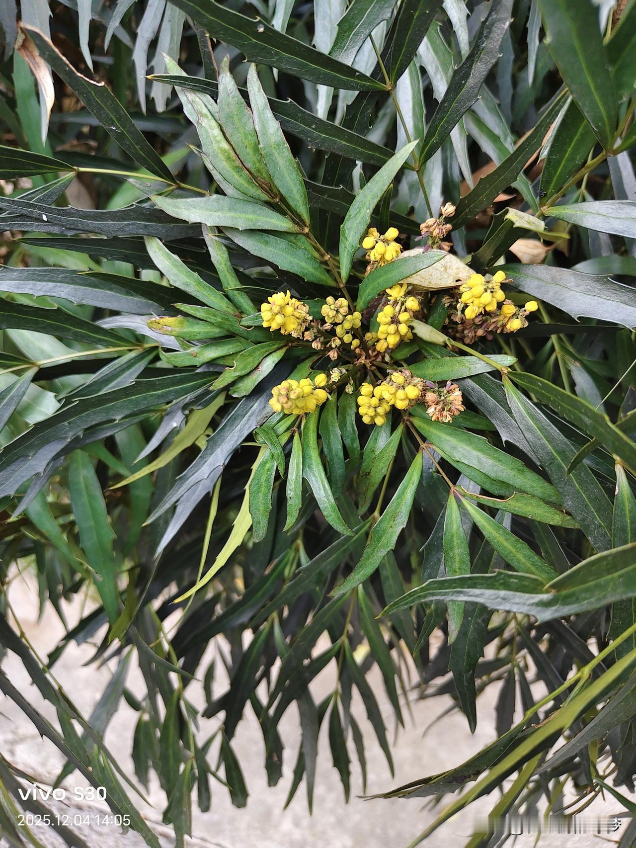 冬日生活打卡季