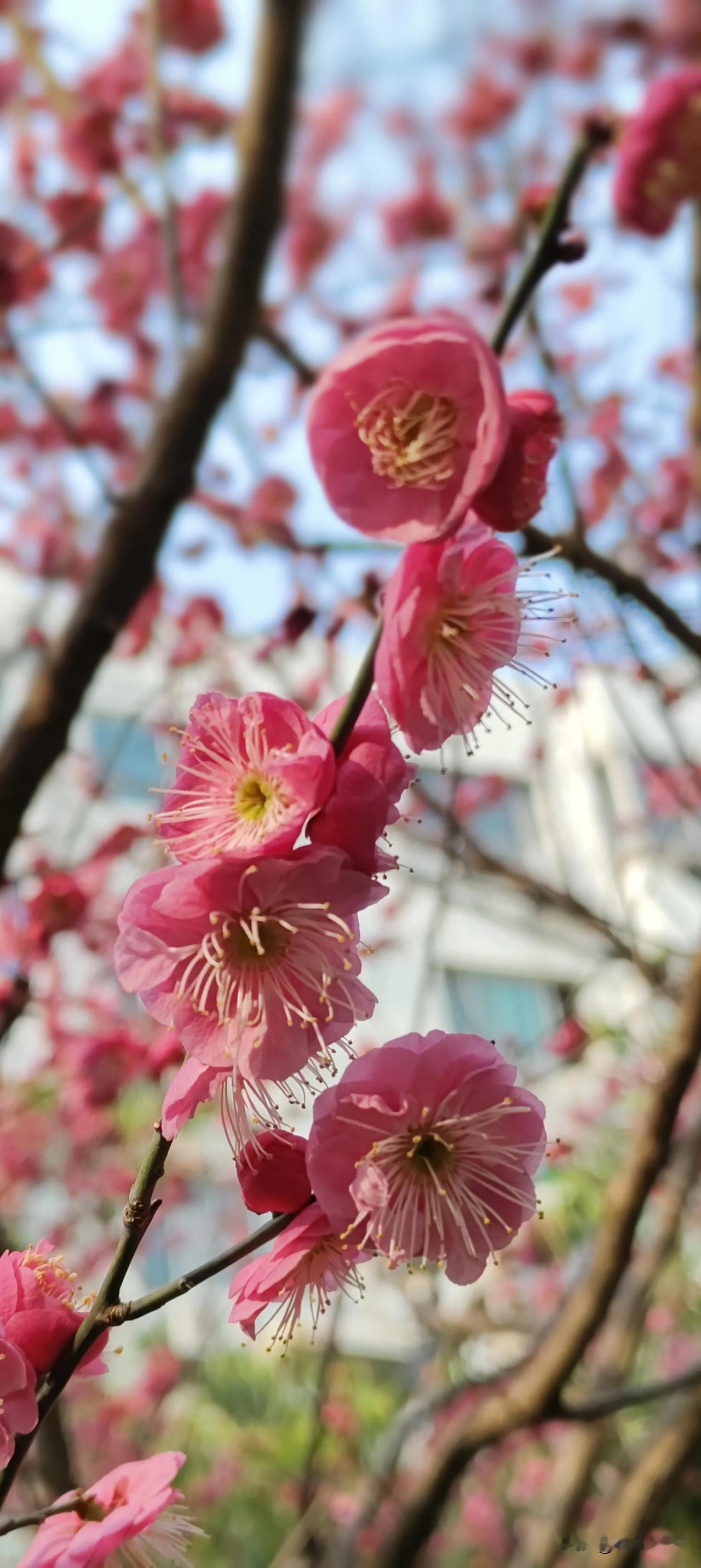 不追求时髦，也不想太省，最近想买这几样东西
浏览网页，对好几样宝贝感兴趣，无奈资