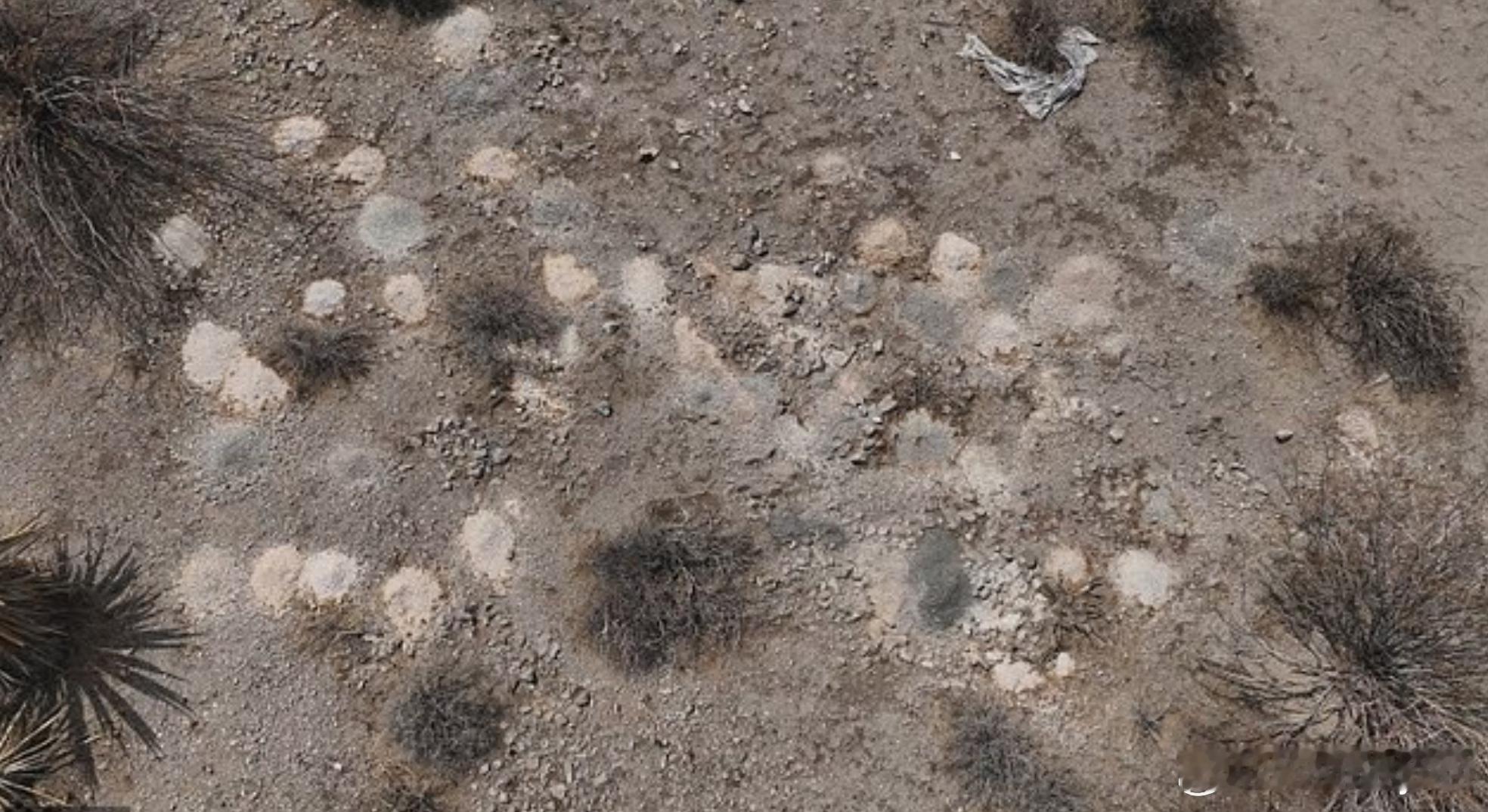 【离奇发现：拉斯维加斯郊外沙漠惊现逾300堆人类遗骸】海外新鲜事 美国内华达州拉