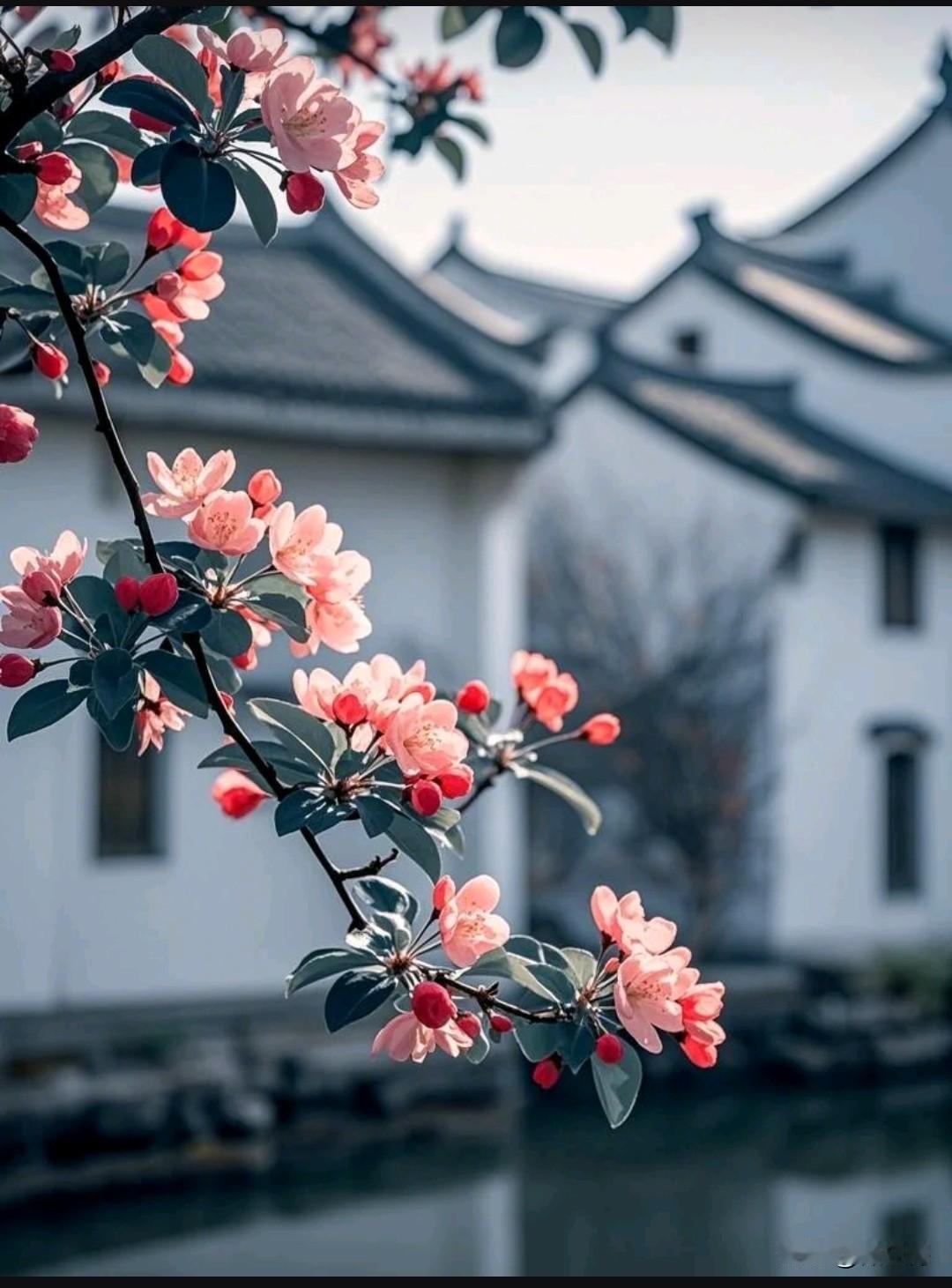 周六，下午好！
今天是三月十四日
春雨润大地，问候暖心田；
春风传花香，祝福送吉