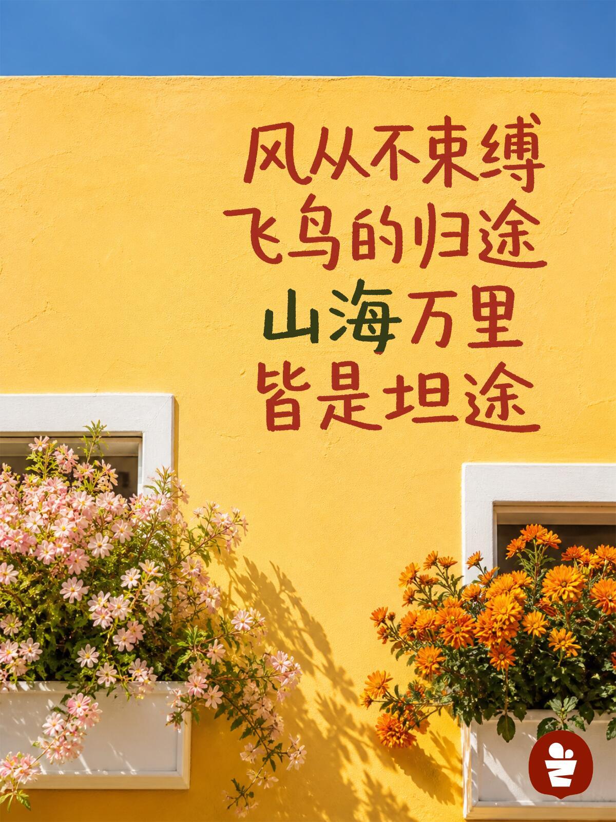 “别急，九月开的花也很好看🌷” ​​​