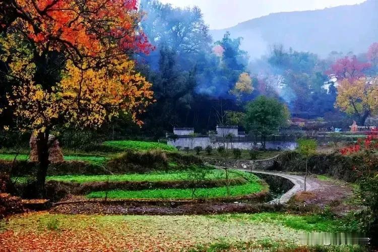 上联：几经风雨情犹重；
下联：历尽沧桑爱更浓。