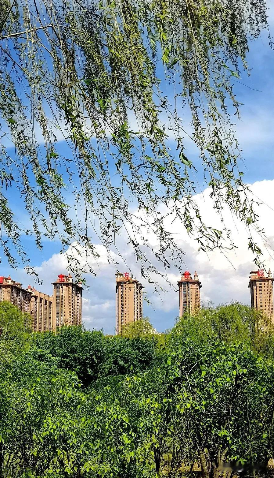 五一放假打卡地 游大同古城 感受大同的蓝天白云 鸟语花香
大同旅行记 大同古城旅