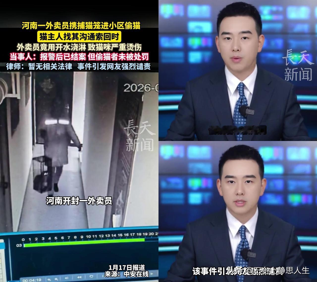 河南一外卖员偷猫被抓，直接拿开水浇猫。

带着捕猫笼进小区偷宠物猫，主人找他