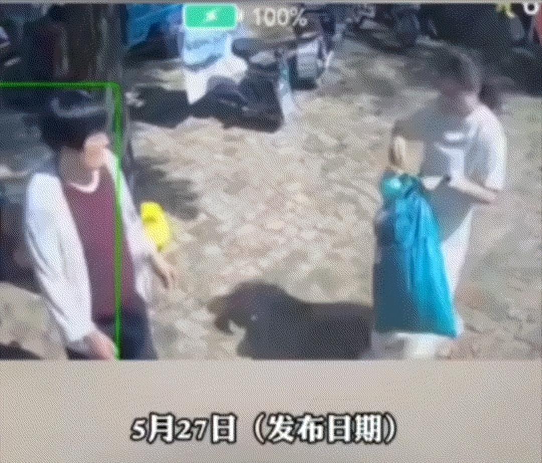 “真的看哭了！”河南一位女子买回枕头，本是送给奶奶的贴心礼物，没想到竟成了最后念