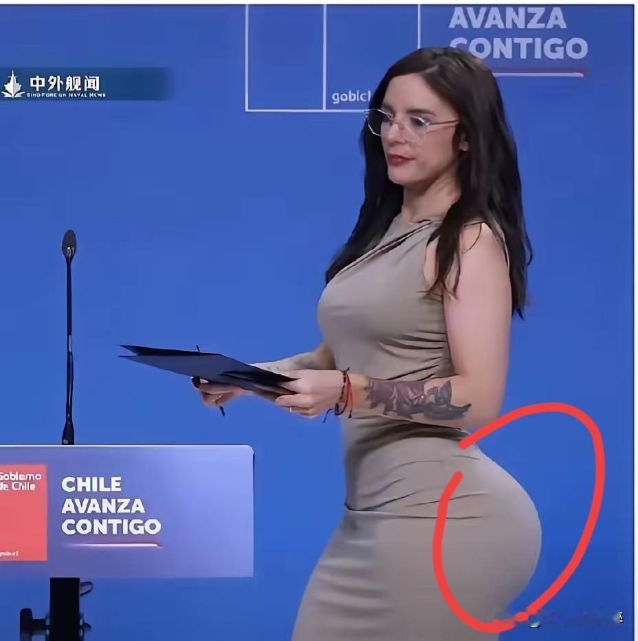 一见美女中国媒体人就不淡定了，一个智利发言人，卡米拉·巴列霍的亮相，看到她翘起的