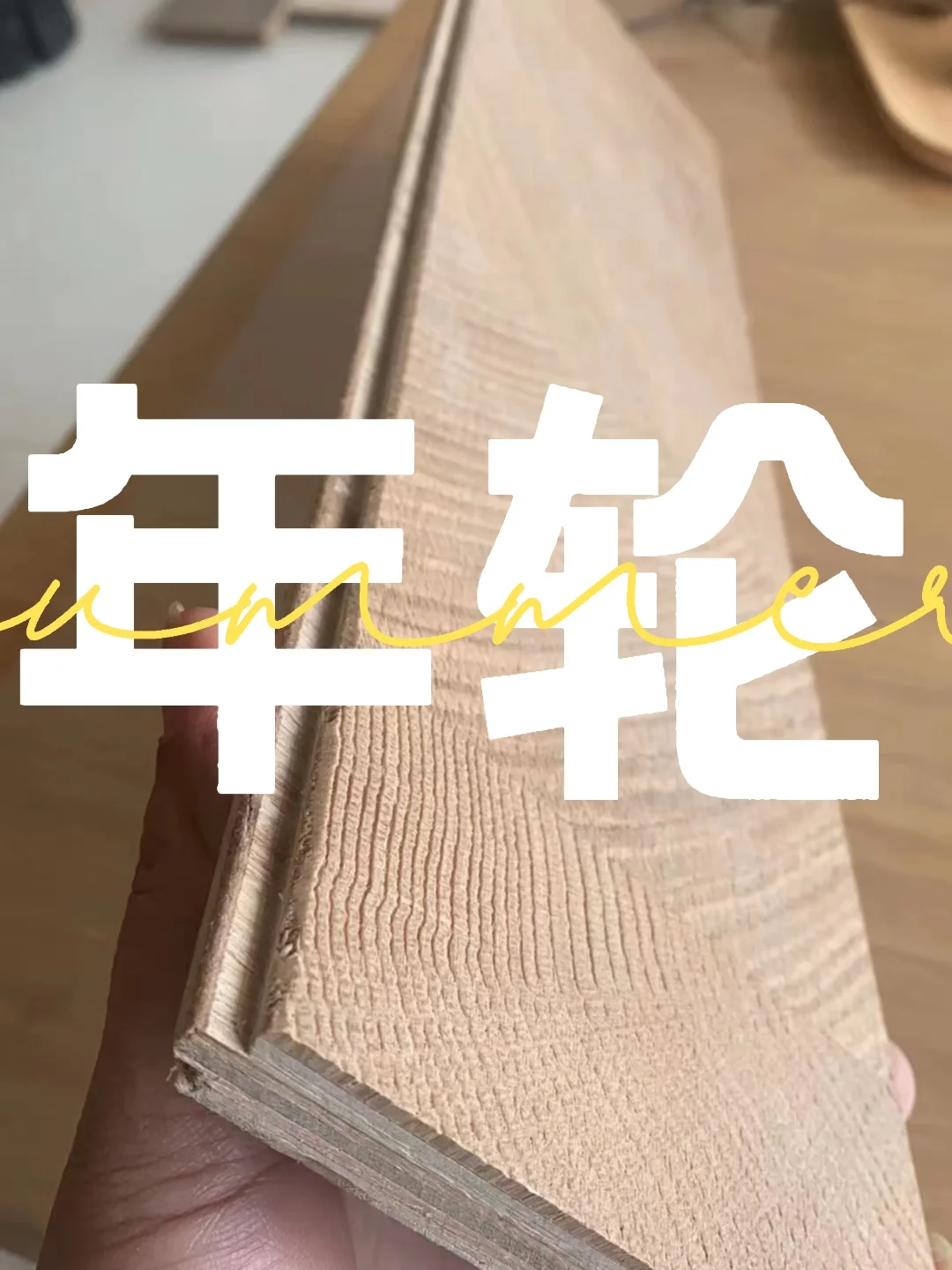 年轮地板扬帆起航
