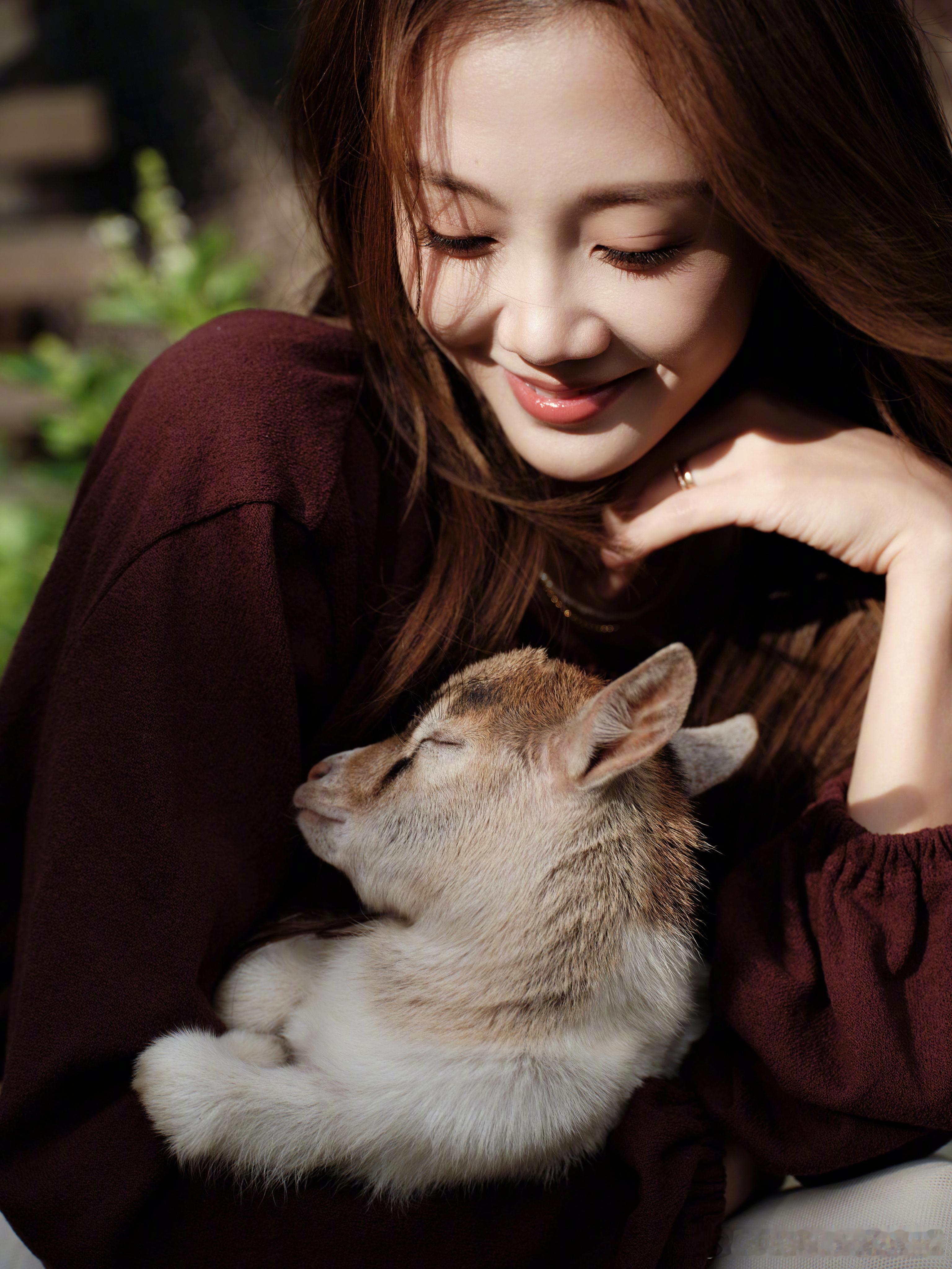 苗苗身着酒红色露背装搭配米白色纱裙，将自家花园草田变成时尚秀场，在与动物和自然的