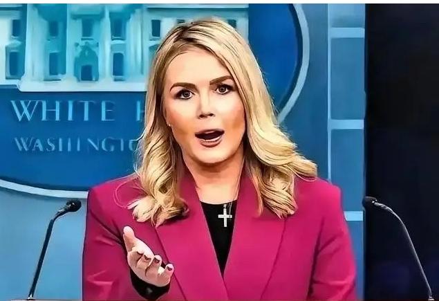 中日闹那么多天，躲在日本背后的第二条大鱼被我们钓了出来这条大鱼不是别的，正是一直