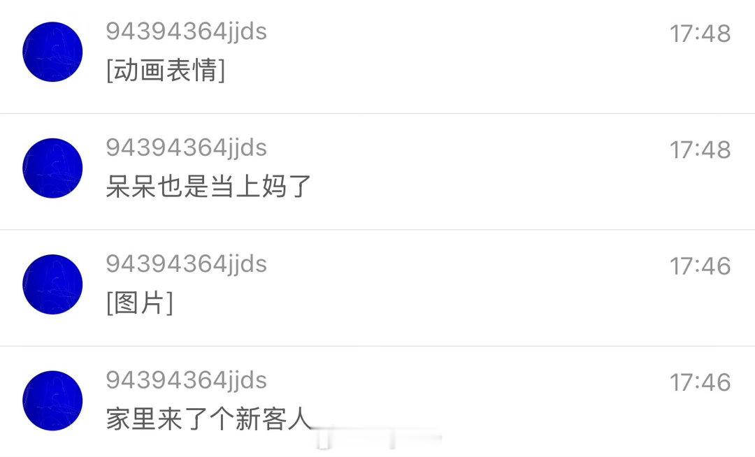沫莉跟呆呆刚来的时候一样，死活看不清脸长啥样