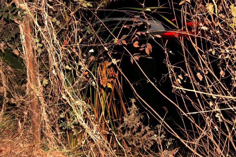 无题
你若风光万人陪，
一无所有还剩谁。
酒桌朋友千千万，
落难只有孤孤零。