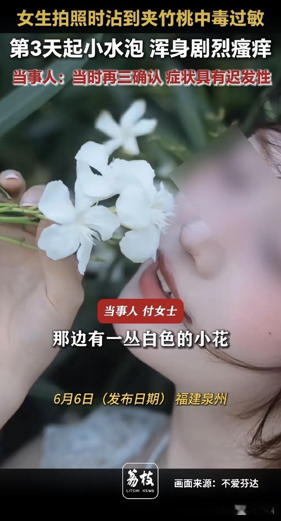 她把白色夹竹桃塞进嘴里的时候，觉得这花真好看。她不知道，三天后自己会变成什么样。