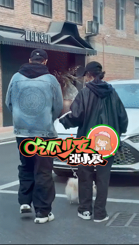 张佳宁高至霆散步遛狗 张佳宁与男友高至霆一起在公园散步遛狗，结束后张佳宁独自开车