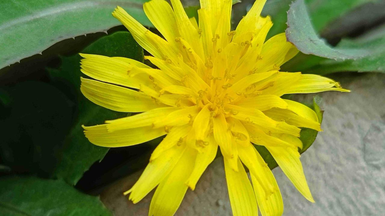 我的今日状态：😁轻松愉快
我这里的天气：☀️晴天