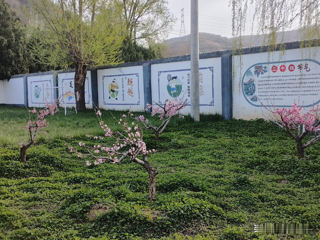 悼念昔日同事：一位平凡又可敬的乡村老教师
惊闻您离世的消息，心里久久不能平静，共