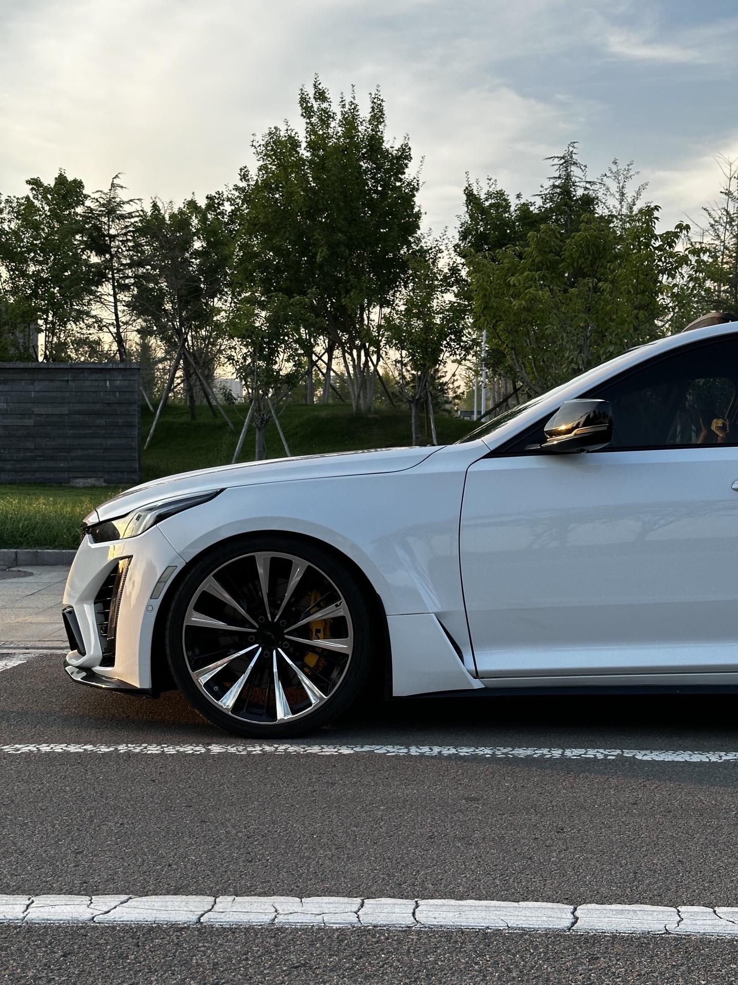 白黑翼 黑铂金 不会错。