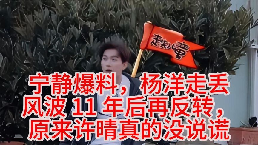 宁静爆料，杨洋走丢风波 11 年后再反转，原来许晴真的没说谎