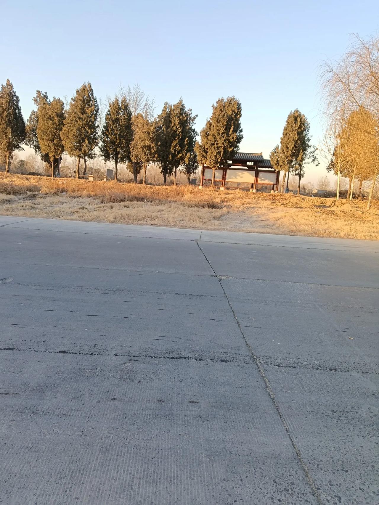 高辛镇随拍分享