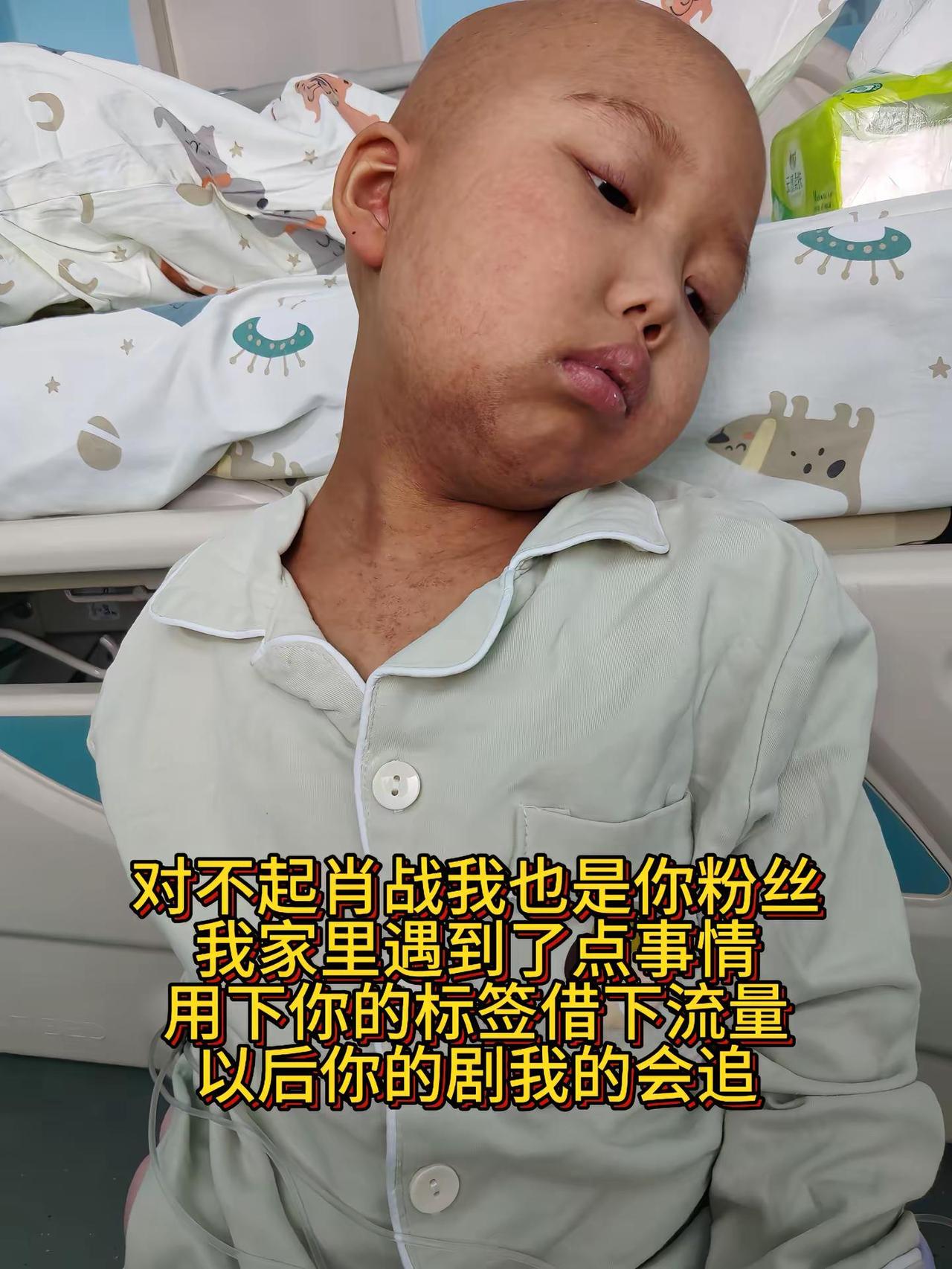 肖战 肖战的小飞侠