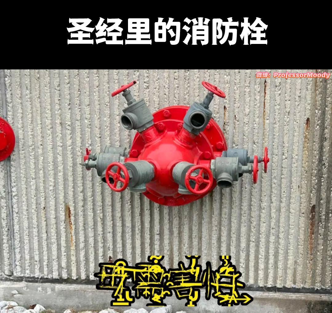 我逐渐开始理解一切 
