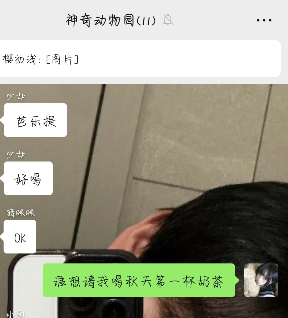 我保证美羊羊是天使