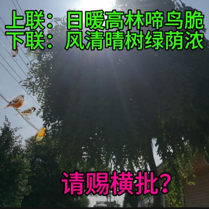 上联：日暖高林啼鸟脆
下联：风清晴树绿荫浓
求横批？