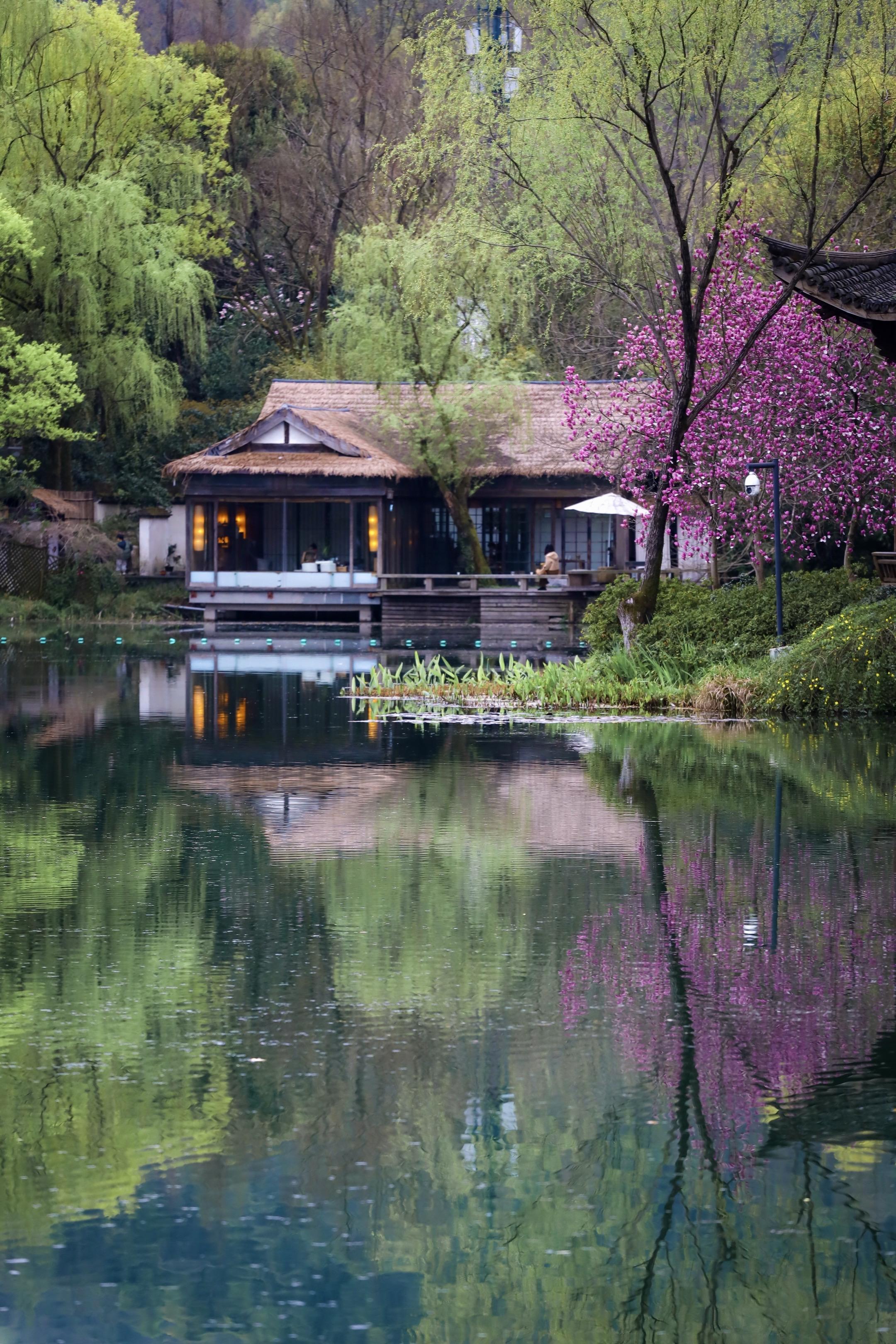 99%杭州攻略都找不到的3个春天秘境！我是猪肝面🐷 杭州土著+拥有导...