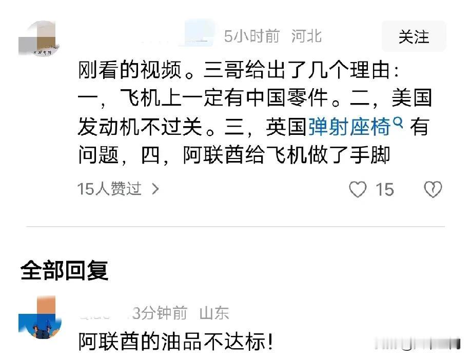 印度甲亢姐说光辉战机仅坠毁两架，意思是战机发生坠毁在全世界都很正常，光辉战机到现