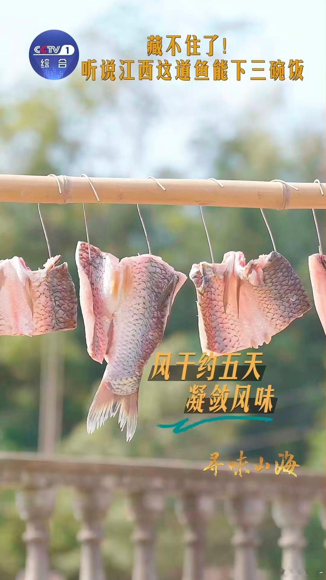 下饭菜又多一个选择江西吃鱼等3个月下3碗饭慢工出珍馐的完美诠释！湖口酒糟鱼历经风