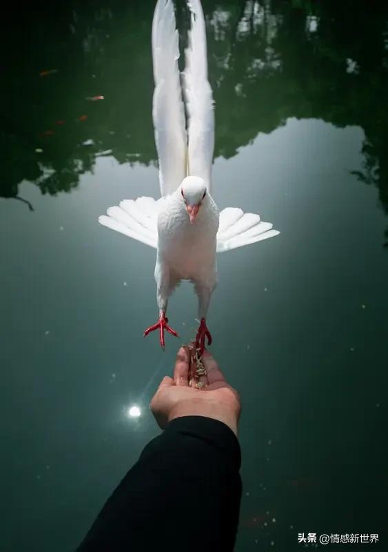 人与人之间最难得的是什么? 人与人之间最难得的，是真诚、信任、理解等一系列特质。