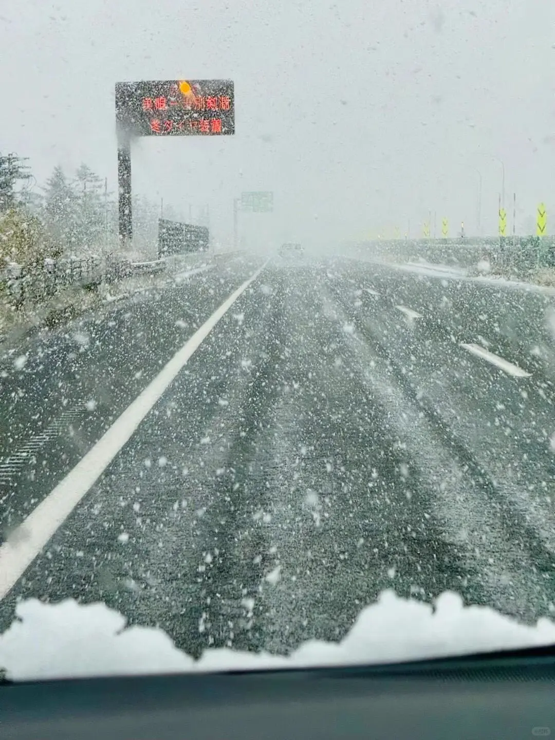 在北海道做了5年包车｜真心提醒还没去的姐妹